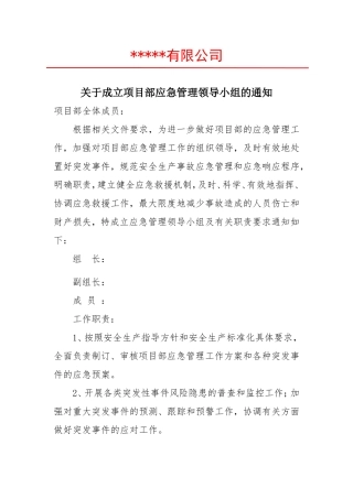 关于成立项目部应急管理领导小组的通知.doc