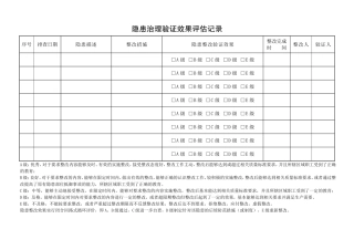 隐患治理验证及效果评估记录.doc