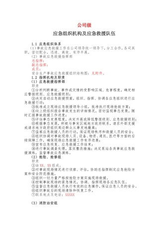 11.1.1.3公司级 应急组织机构及应急救援队伍 （改动）.doc
