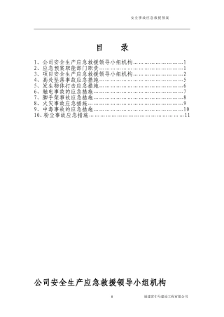 33.工程项目应急预案.doc
