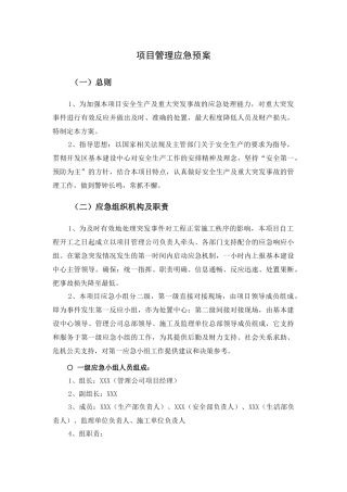 65.项目管理应急预案.docx