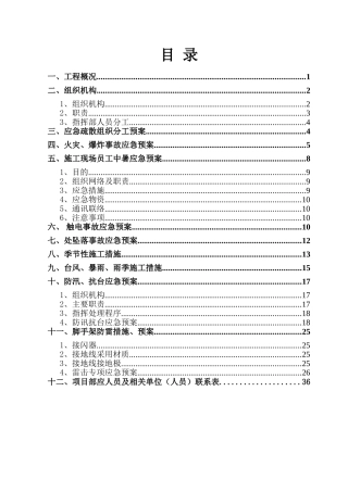 91.施工现场的各项应急预案.doc