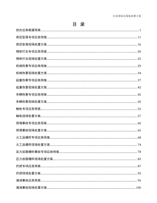 105.应急预案及现场处置方案（203页）.doc