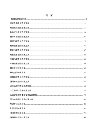 003水利项目现场预案及处置方案.doc