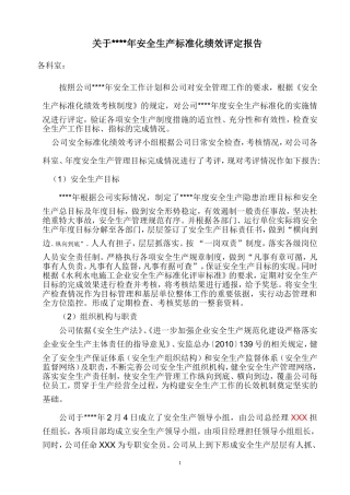 13.2.2安全生产标准化绩效评定报告.doc