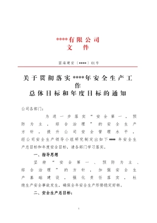 4、安全生产工作的总体目标和年度目标（正式文件）1号.doc