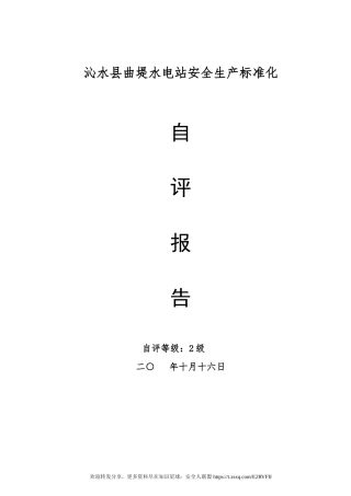 13.二级安全生产标准化自评报告(整套资料）.doc