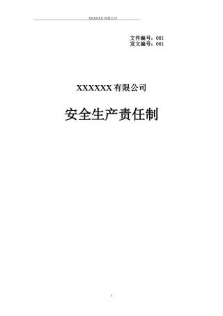 公司各岗位安全生产责任制.doc
