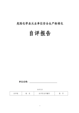 安全生产标准化自评报告.doc