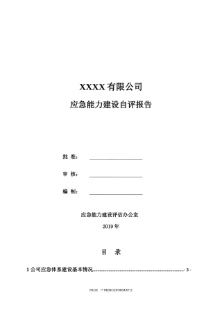 XXXX公司应急能力建设自评报告.docx
