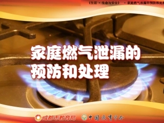 20220721家庭燃气泄漏的预防和处理.ppt