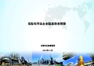 20250208危险化学品企业隐患排查图册（附带标准依据）.pdf