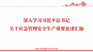 20250208总书记关于安全生产应急管理重要论述汇编（图文案例版，更新到2025年1月份）.pptx