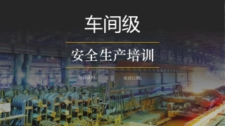 车间级安全培训 2024-6-12 82751 10.pptx
