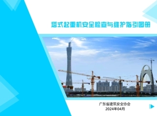 塔式起重机安全检查与维护指引图册（广东2024版）.pdf