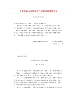 山东省清洁生产审核实施细则2017.docx