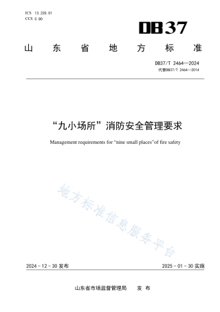 DB37T 2464-2024“九小场所”消防安全管理要求_地方标准.pdf