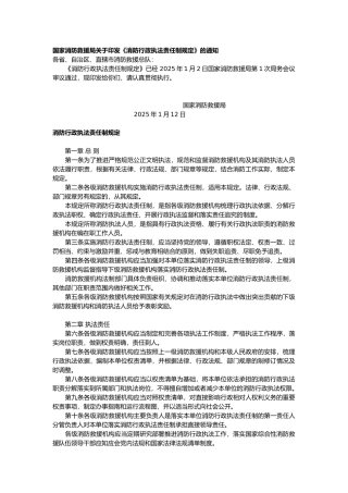 消防行政执法责任制规定2025.docx