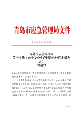 青应急〔2023〕36号.doc