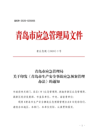 青岛市生产安全事故应急预案管理办法2020.doc