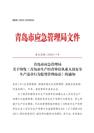 青岛市生产经营单位从业人员安全生产违章行为监督管理办法2020.doc