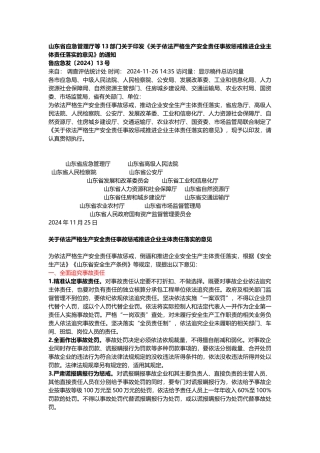 关于依法严格生产安全责任事故惩戒推进企业主体责任落实的意见2024.docx