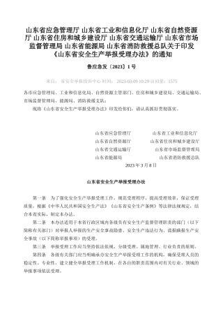 山东省安全生产举报受理办法2023.docx
