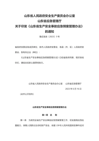 山东省生产安全事故应急预案管理办法2023.docx