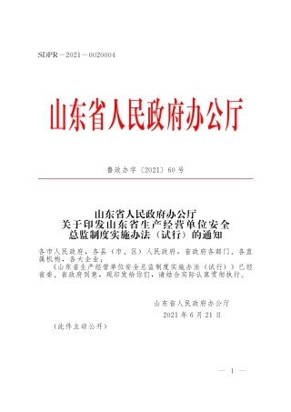 山东省生产经营单位安全总监制度实施办法（试行）2021.pdf