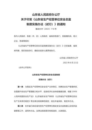 山东省生产经营单位安全总监制度实施办法（试行）2023.docx