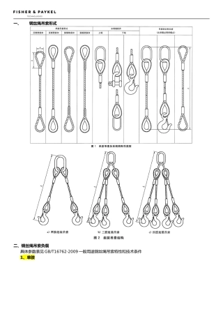 斐雪派克钢丝绳.docx