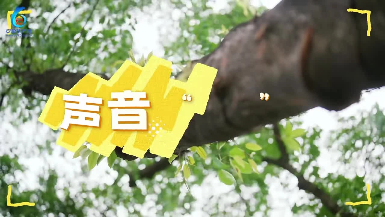 2025年“安全生产月”主题宣传片（3）《声音的“安全”密码》.mp4