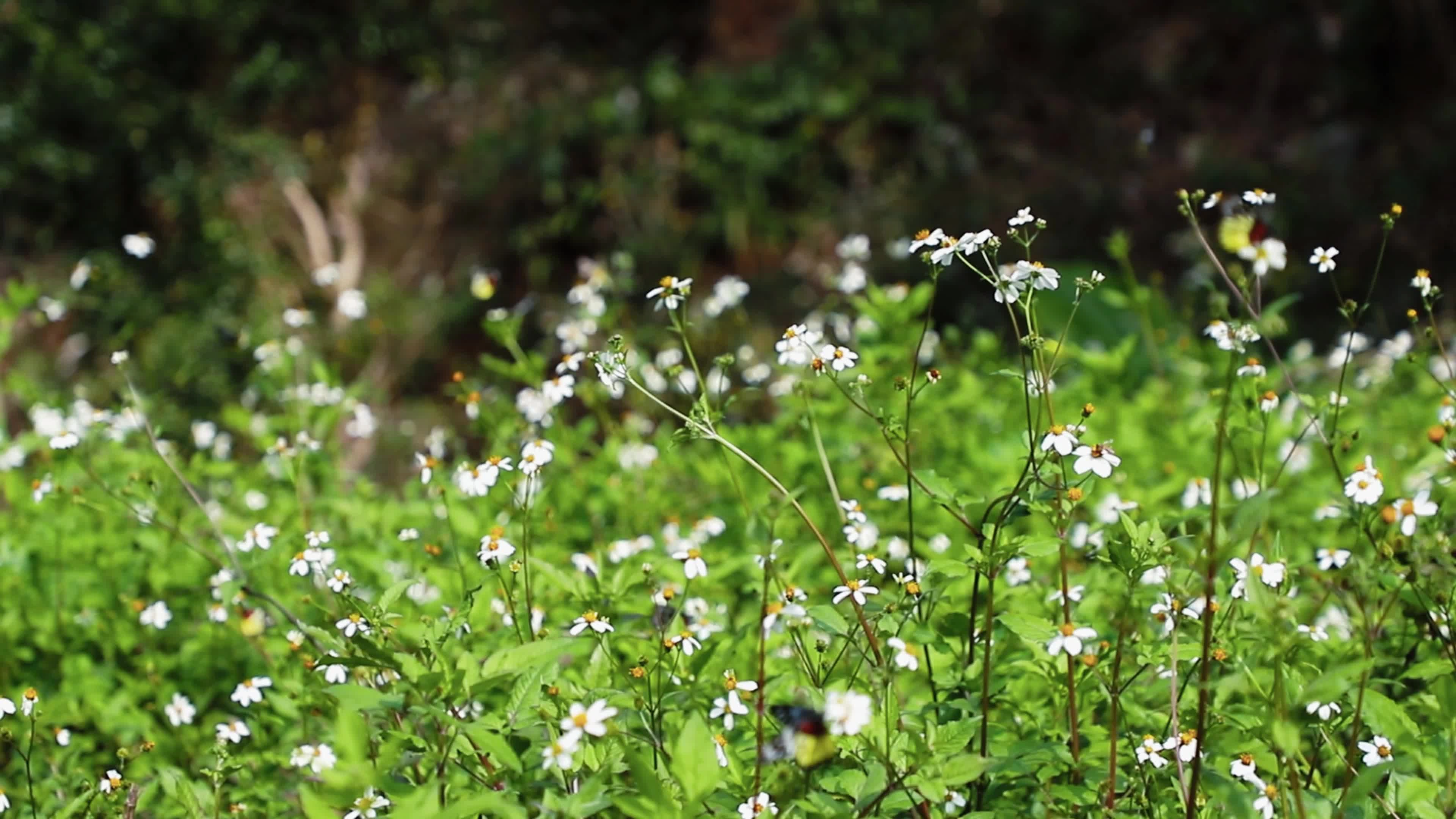 5月11日512公益广告B（最终）.mp4