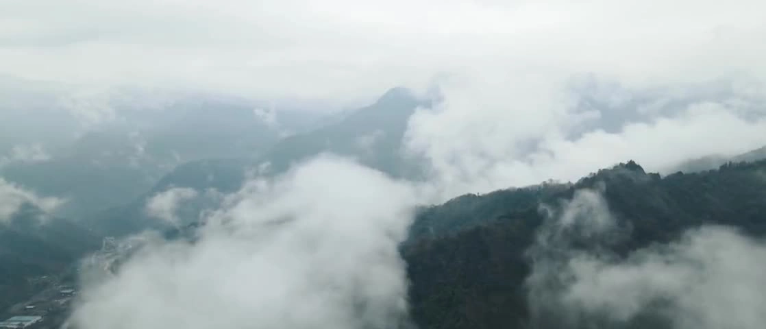 获奖作品展播丨微电影：释然的误解.mp4