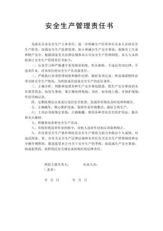 从业人员责任书 （班组长与成员签）.doc