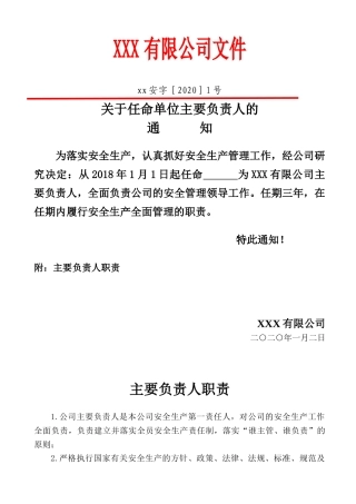 9.关于任命公司主要负责人的通知.doc