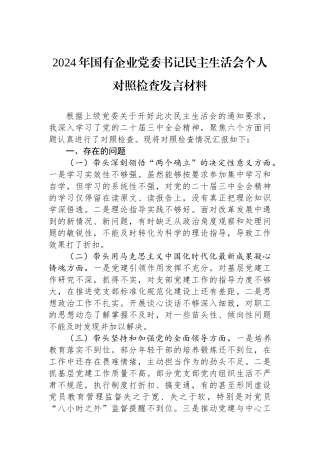 2024年国有企业党委书记民主生活会个人对照检查发言材料.docx