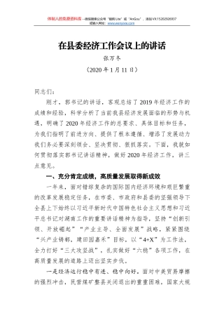 孙环志：在平果县经济工作会议上的讲话
