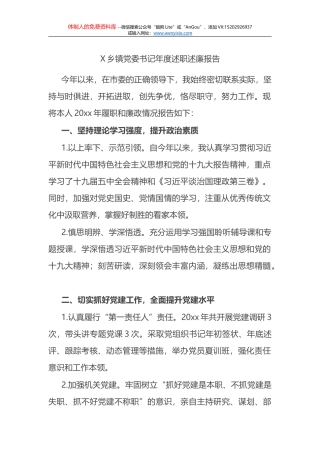 X乡镇副镇长年度述职述廉报告