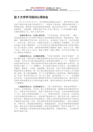 赴X大学学习培训心得体会