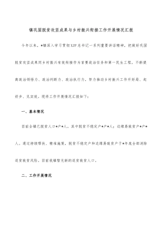 镇政府关于依法行政工作开展情况的汇报