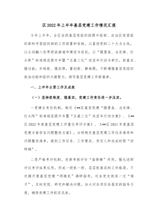 区经济社会发展情况汇报材料