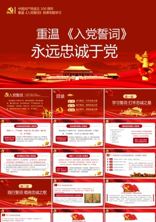 党支部工作条例PPT