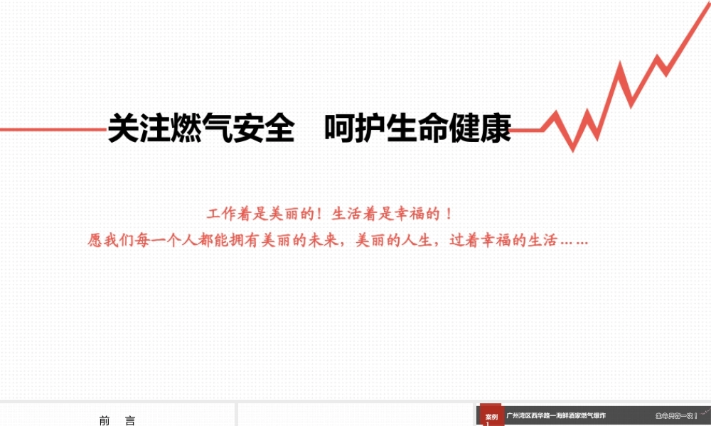 国外企业安全管理
