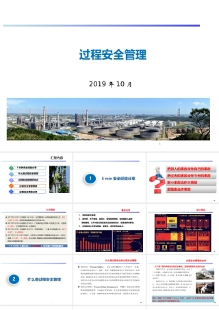 过程安全管理在化工（危险化学品）企业的应用实践