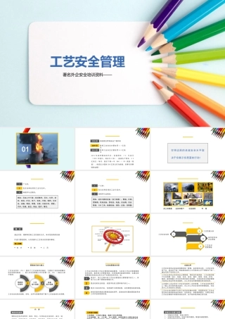 著名外企工艺安全管理PPT课件