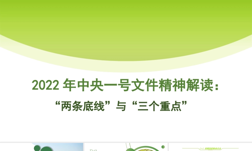 2022年一号文件精神解读模板“两条底线”与“三个重点”（PPT）
