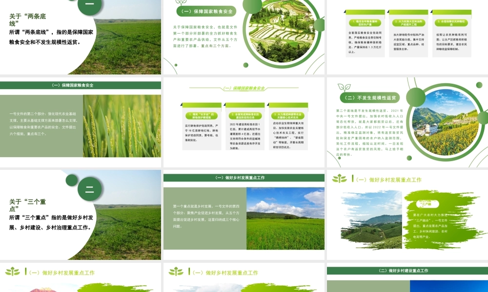 2022年一号文件精神解读模板“两条底线”与“三个重点”（PPT）