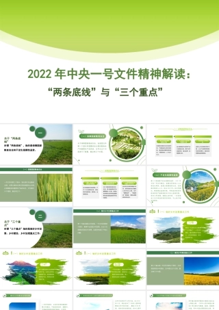 2022年一号文件精神解读模板“两条底线”与“三个重点”（PPT）
