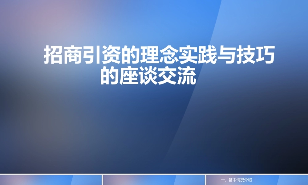 招商引资理念与实践经验的座谈交流PPT